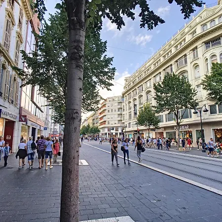 Nestor&jeeves - Green - Hyper Center - Shopping Avenue *